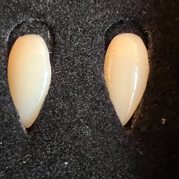 Dracula fangs - Dracula house Halloween - Picture 3 of 11